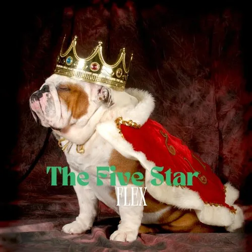 Expert yard cleanup service in Lakeland, FL - Dew Dew Pet & Lawn Services