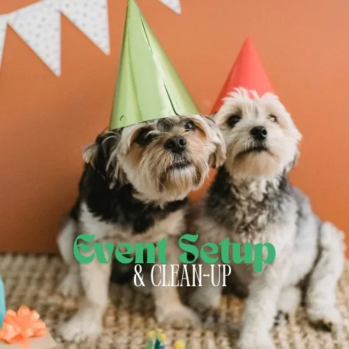 Professional landscape design for homes in Lakeland, FL by Dew Dew Pet & Lawn Services