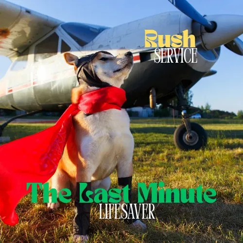 Affordable garden landscaping in Lakeland, FL - Dew Dew Pet & Lawn Services