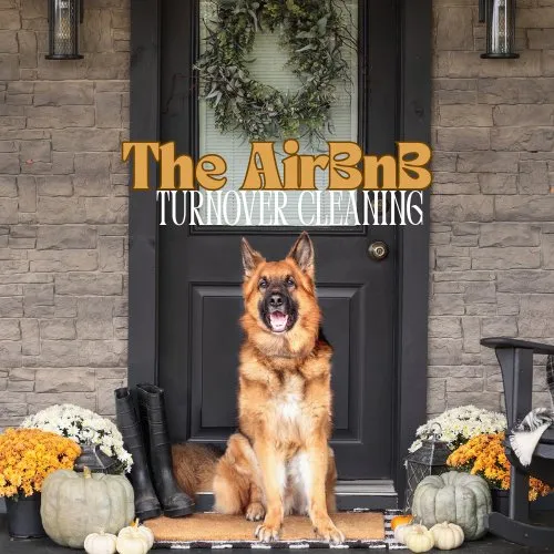 Reliable landscape design in Lakeland, FL - Dew Dew Pet & Lawn Services