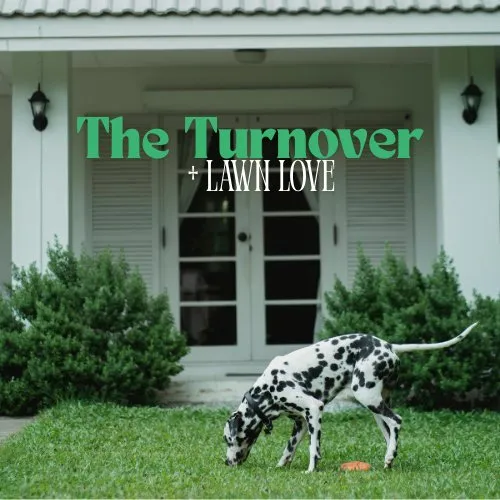 Custom yard cleanup service for outdoor upgrades in Lakeland, FL by Dew Dew Pet & Lawn Services