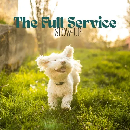 Professional residential landscaping for residential properties across Lakeland, FL - Dew Dew Pet & Lawn Services