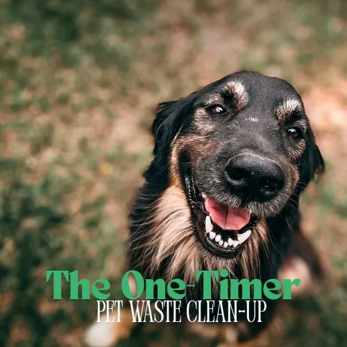 Custom garden landscaping for homes across Lakeland, FL - Dew Dew Pet & Lawn Services