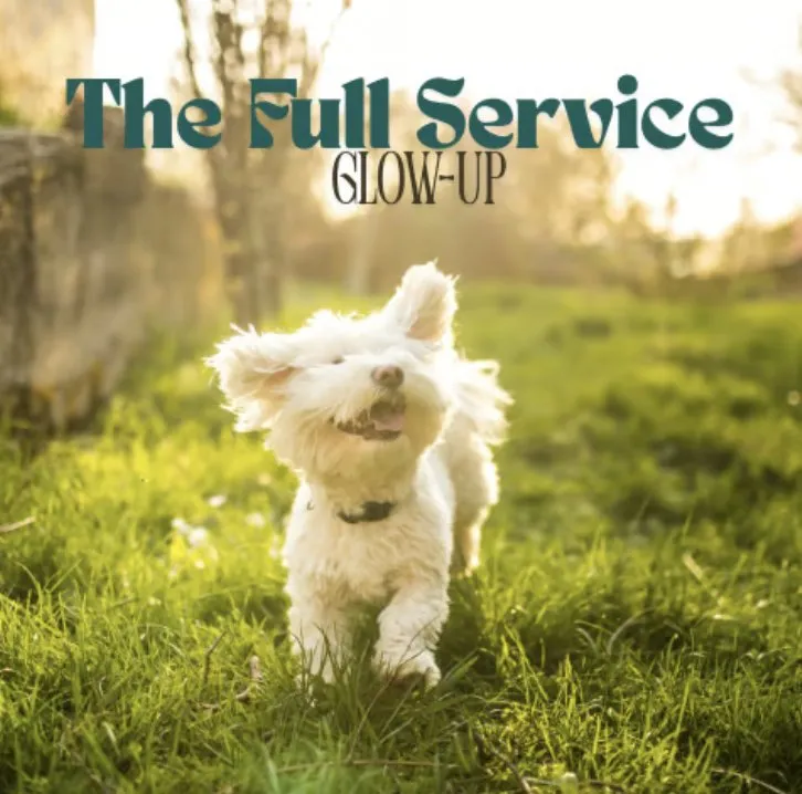 Trusted lawn mowing service in Lakeland, FL by Dew Dew Pet & Lawn Services