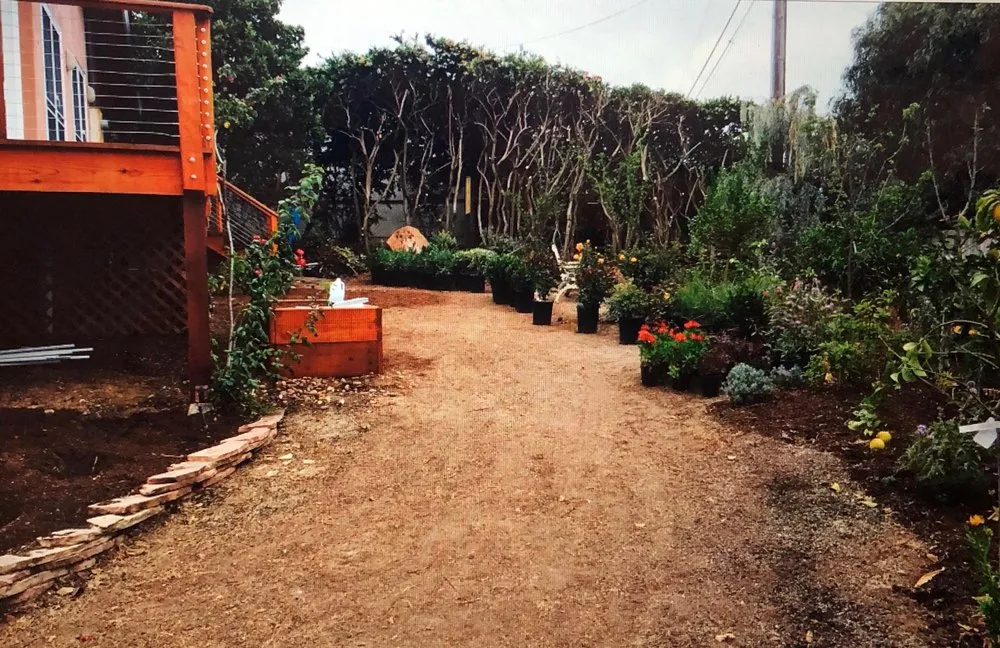 Affordable lawn mowing service in San Diego, CA - Dew Gardens