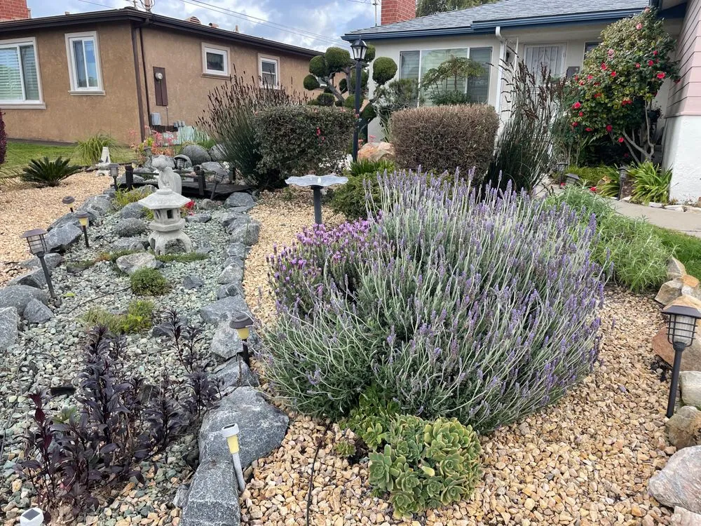 Top-rated yard cleanup service in San Diego, CA - Dew Gardens