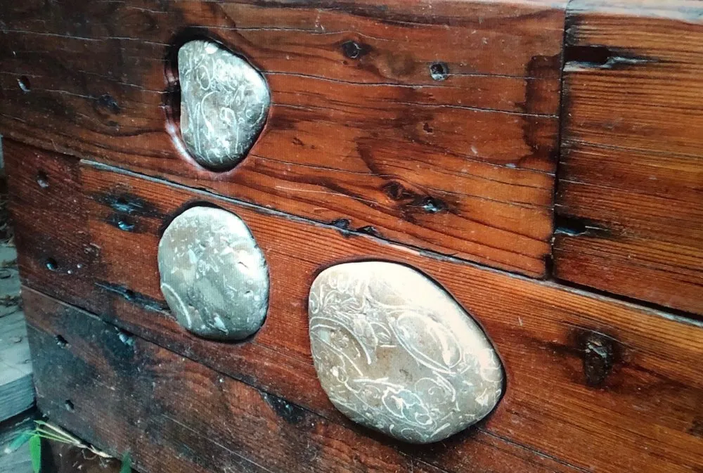 Expert lawn mowing service for residential properties across San Diego, CA - Dew Gardens