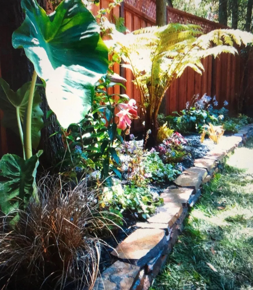 Top-rated residential landscaping in San Diego, CA by Dew Gardens