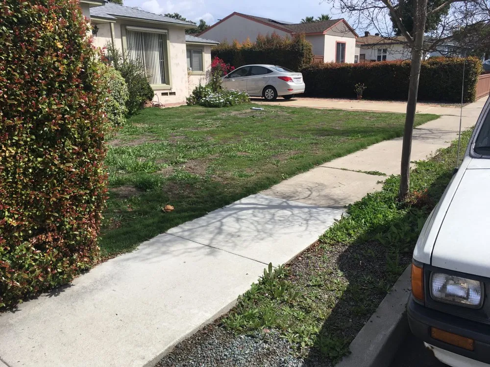 Custom yard maintenance in San Diego, CA by Dew Gardens