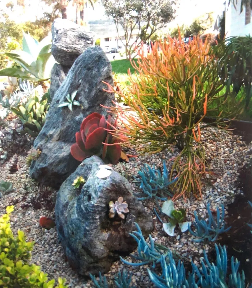Custom yard cleanup service in San Diego, CA - Dew Gardens