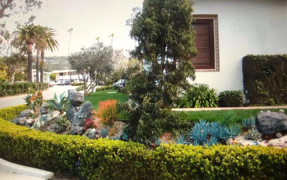 Trusted outdoor landscaping in San Diego, CA by Dew Gardens