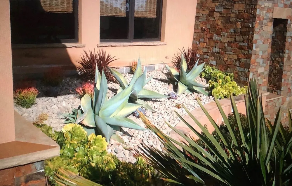 Expert residential landscaping for year-round maintenance in San Diego, CA by Dew Gardens