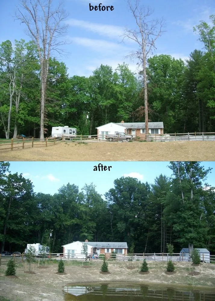 Custom yard cleanup service near you across Clarksburg, MD - DEW Lawn & Tree Service