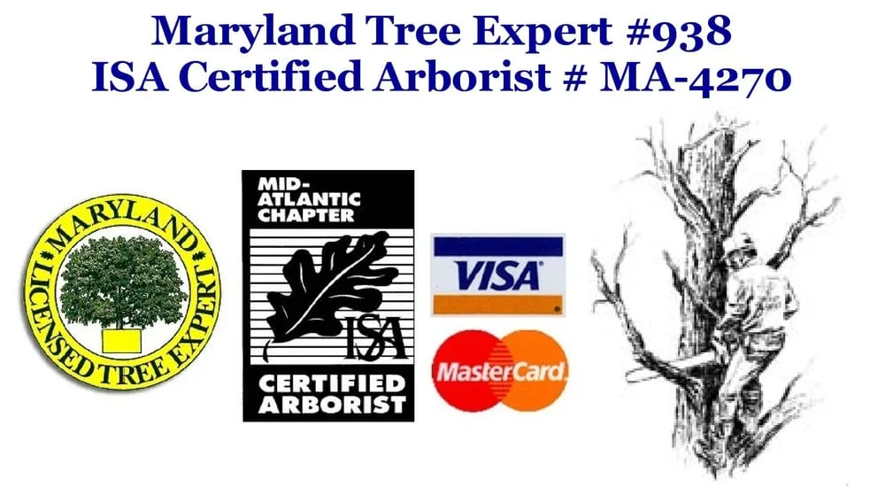 Professional lawn mowing service in Clarksburg, MD by DEW Lawn & Tree Service