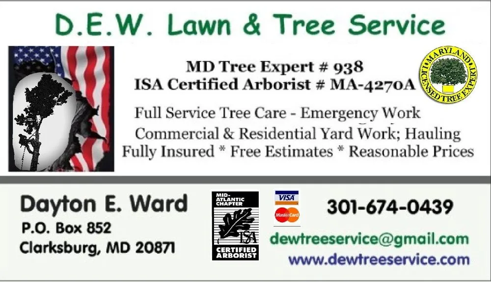 Affordable outdoor landscaping for homes in Clarksburg, MD by DEW Lawn & Tree Service