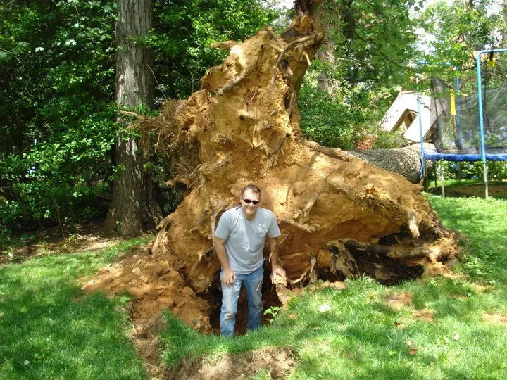 Custom yard maintenance experts serving Clarksburg, MD - DEW Lawn & Tree Service
