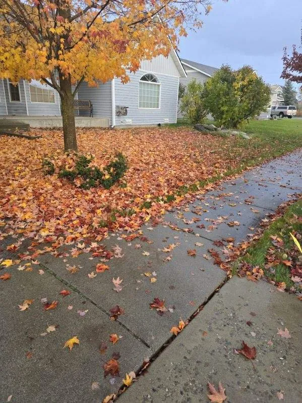 Professional garden landscaping experts serving Dalton Gardens, ID - DEW Lawncare and Property Services