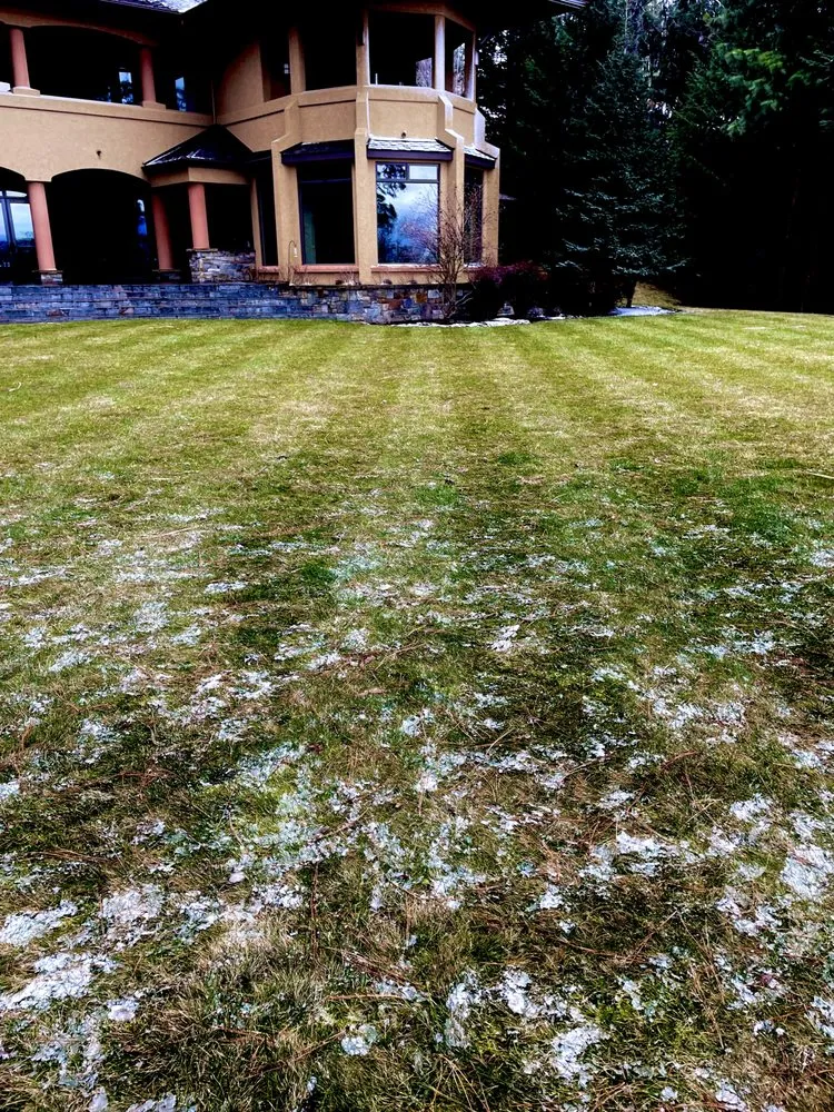 Custom lawn care service for beautiful yards in Dalton Gardens, ID by DEW Lawncare and Property Services