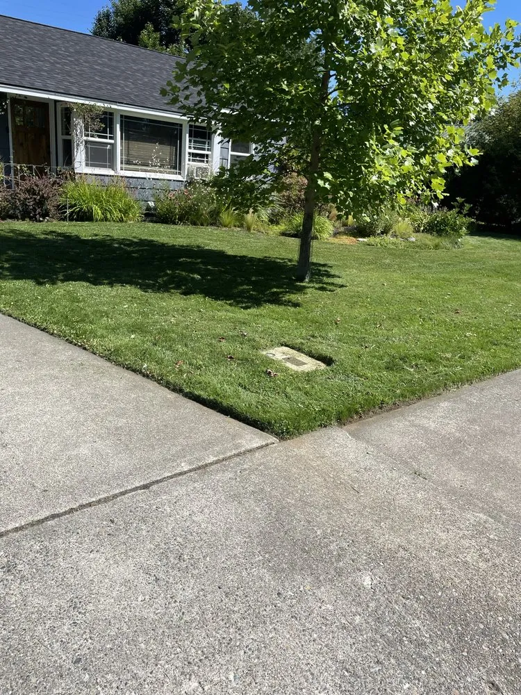 Reliable residential landscaping in Dalton Gardens, ID - DEW Lawncare and Property Services