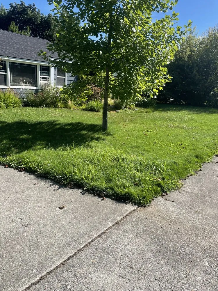 Professional landscaping services in Dalton Gardens, ID by DEW Lawncare and Property Services