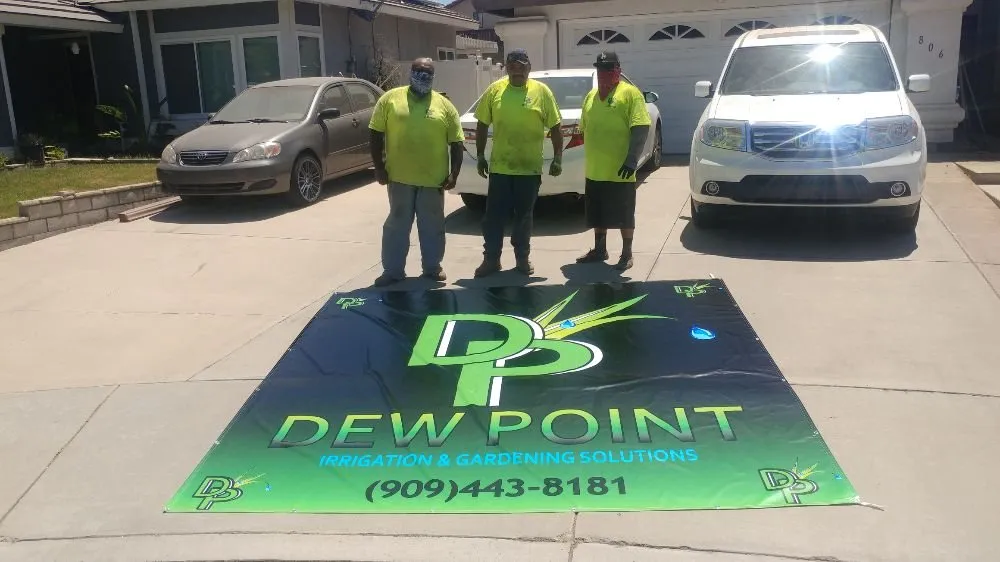 Affordable landscaping services for residential properties in Mentone, CA by Dew point irrigation and garden solutions