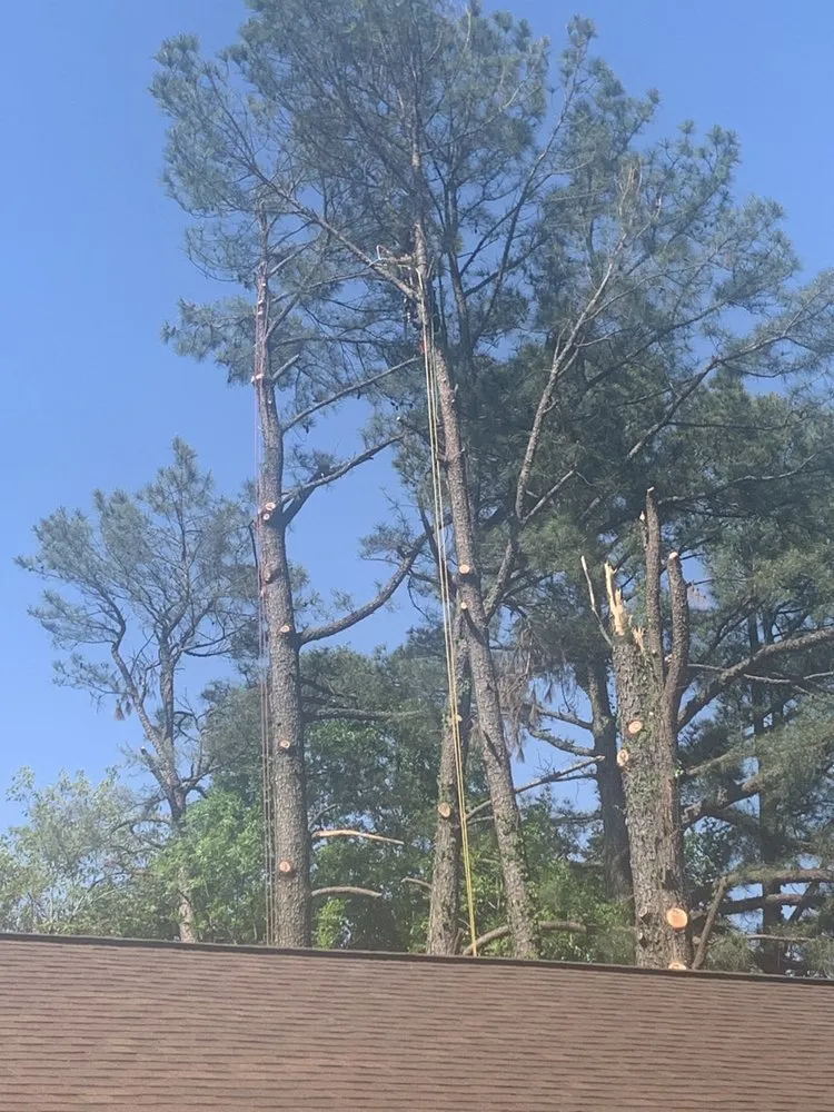 Expert landscape design in Anamosa, IA by Dewalt Family Services