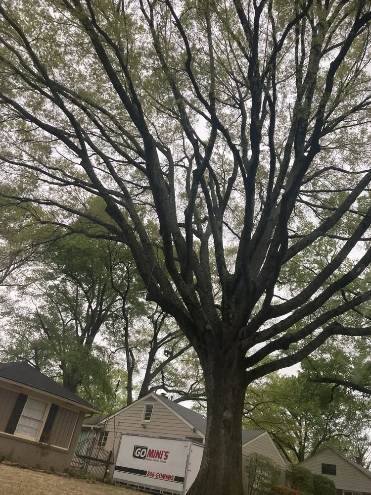 Top-rated landscaping services experts serving Anamosa, IA - Dewalt Family Services