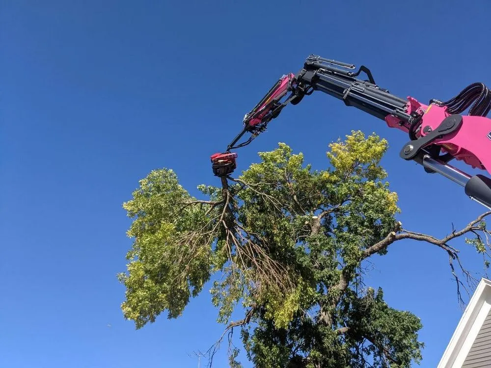 Top-rated landscaping services in Anamosa, IA - Dewalt Family Services