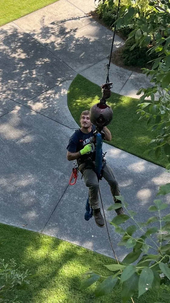 Expert lawn care service in Anamosa, IA by Dewalt Family Services