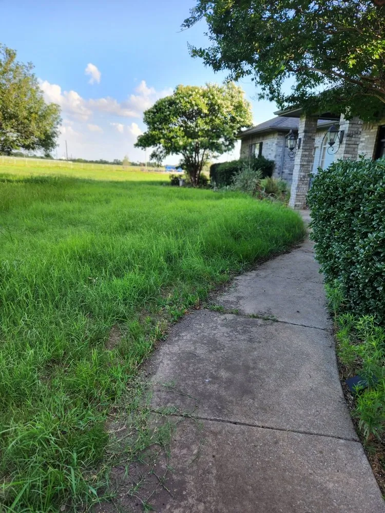 Local garden landscaping experts serving Denton, TX - Dewayne's Property Management