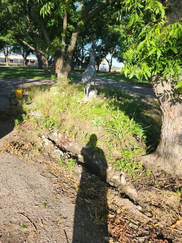 Expert landscaping services for homes in Denton, TX by Dewayne's Property Management