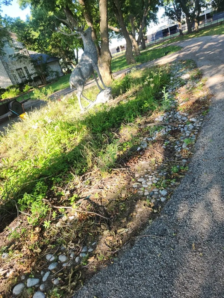 Trusted landscape installation for outdoor upgrades across Denton, TX - Dewayne's Property Management