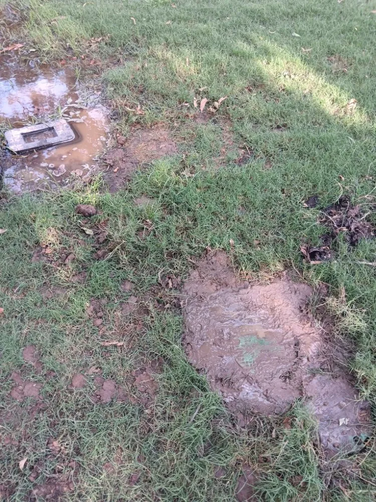 Trusted landscaping services in Denton, TX - Dewayne's Property Management