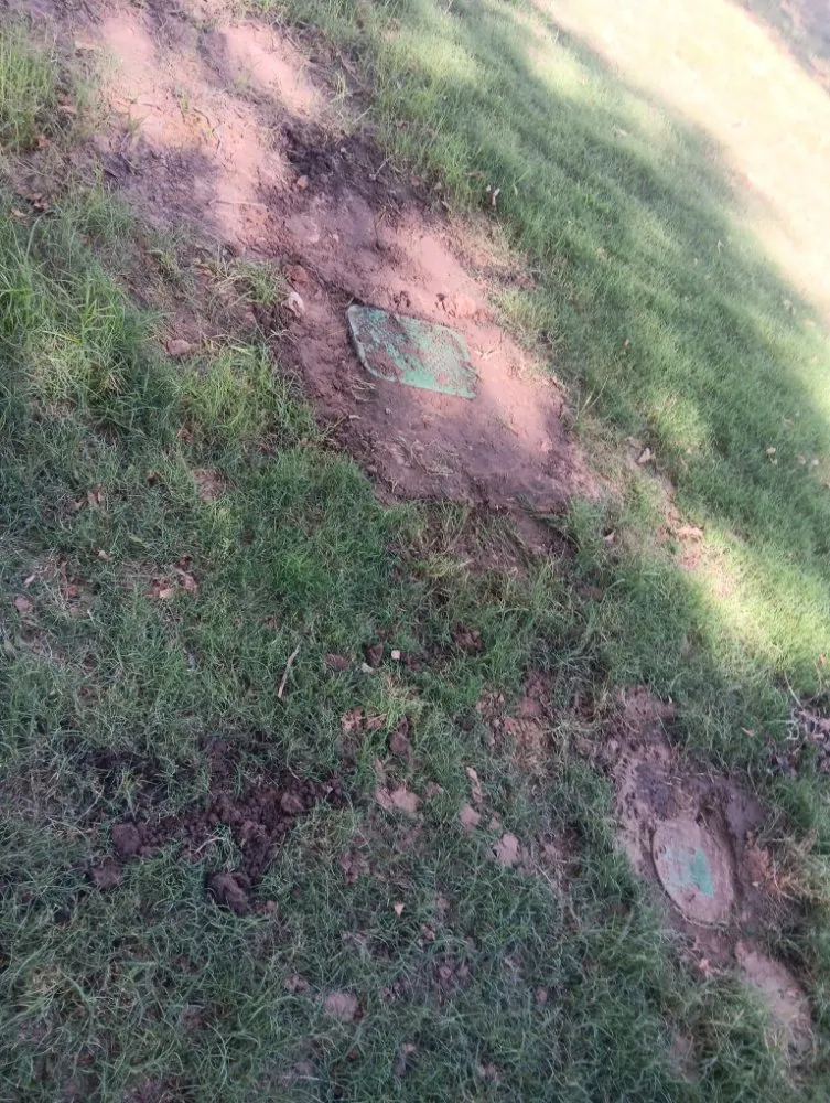 Local landscape design in Denton, TX by Dewayne's Property Management