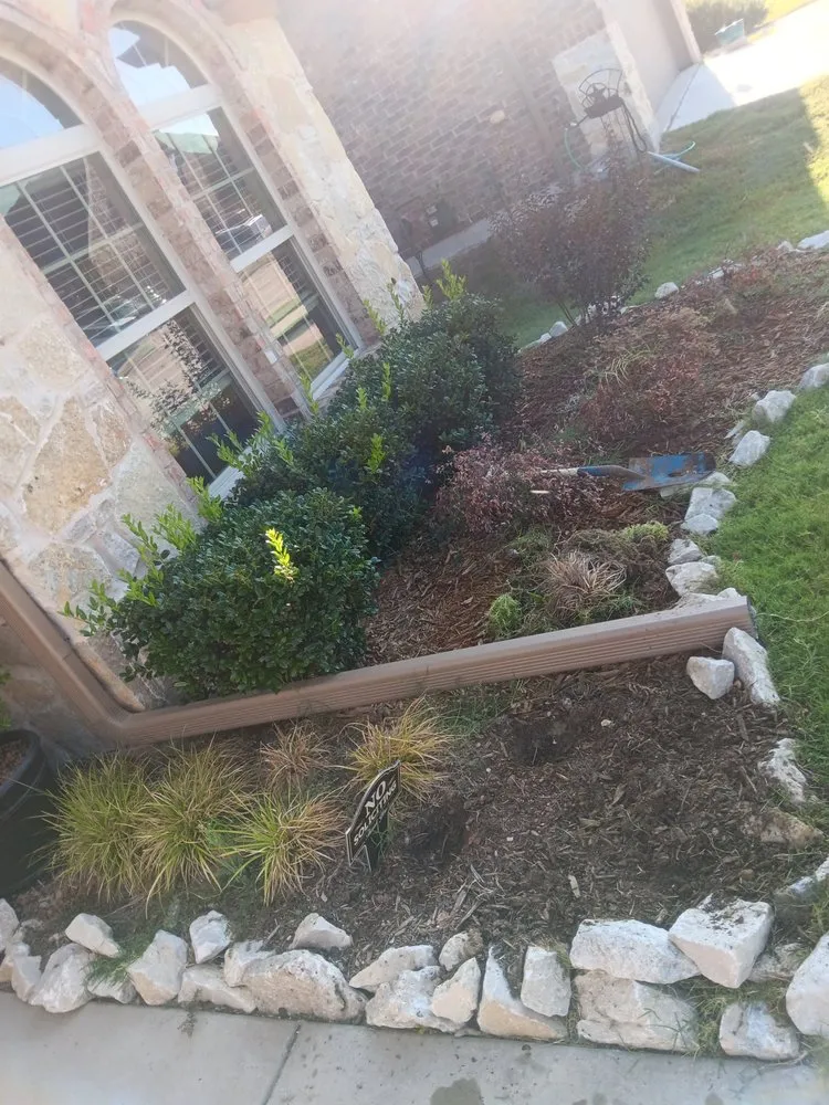 Expert landscape installation for year-round maintenance in Denton, TX by Dewayne's Property Management