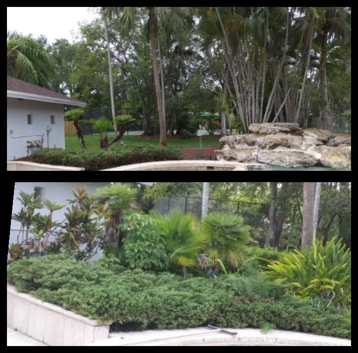 Local garden landscaping in Miami, FL by Dewberry & Mills Cleaning Services
