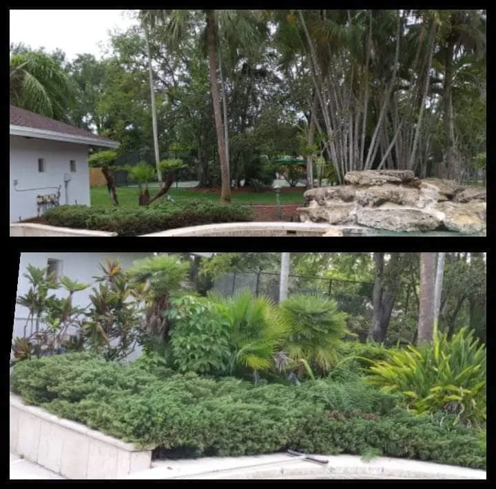 Expert landscape design experts serving Miami, FL - Dewberry & Mills Cleaning Services