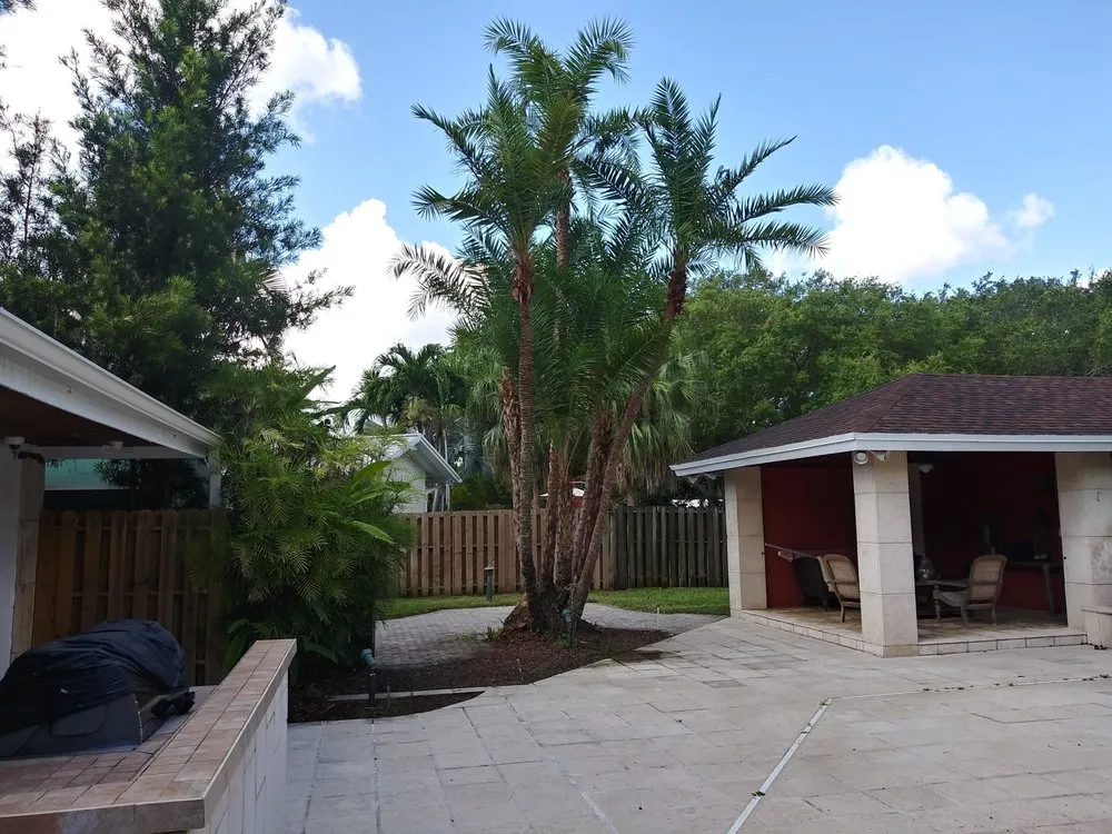 Reliable yard maintenance in Miami, FL by Dewberry & Mills Cleaning Services