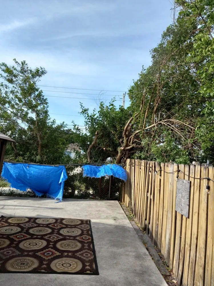 Custom lawn care service experts serving Miami, FL - Dewberry & Mills Cleaning Services