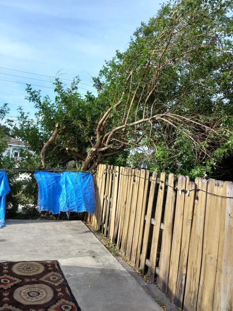 Local lawn mowing service experts serving Miami, FL - Dewberry & Mills Cleaning Services