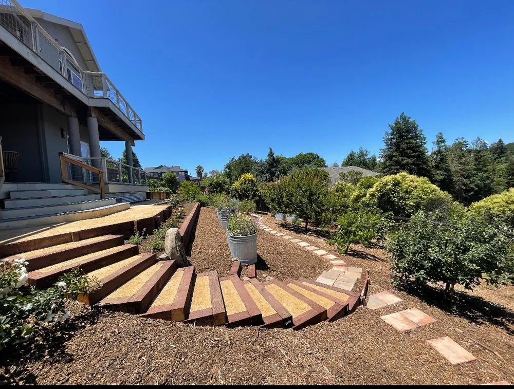 Professional landscape design in Petaluma, CA - Dewdrop Irrigation & Landscape