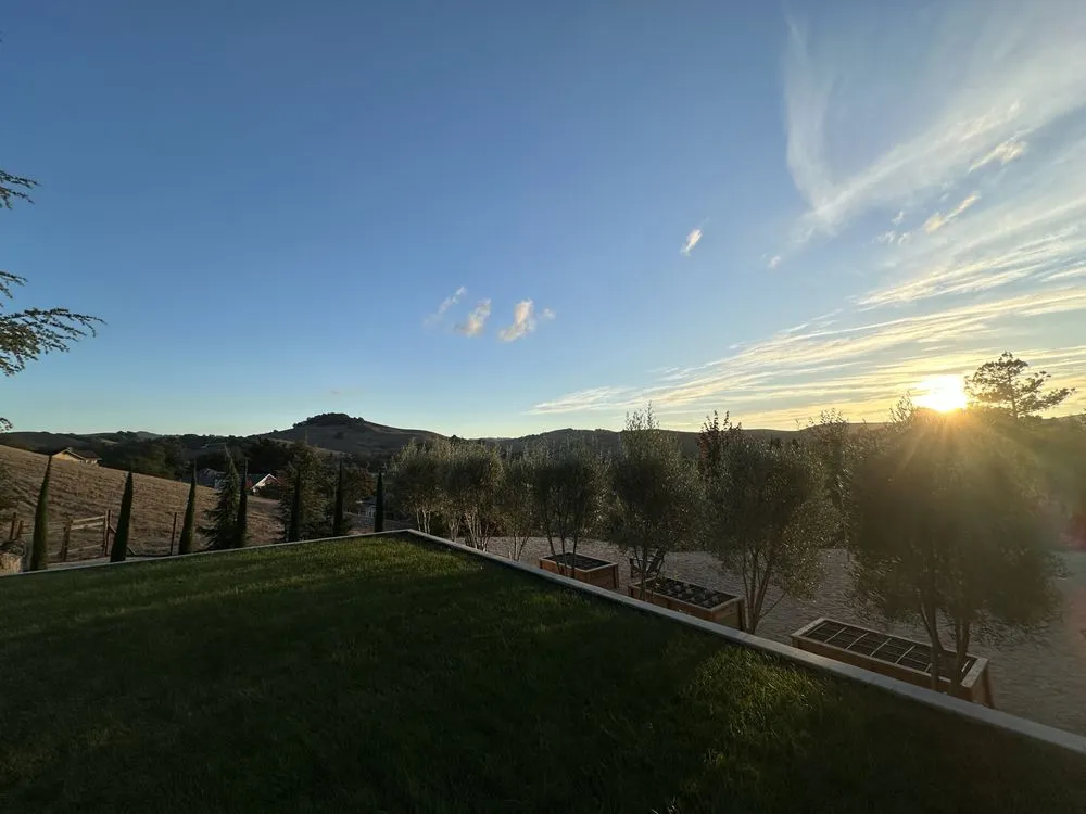 Professional lawn care service for homes in Petaluma, CA by Dewdrop Irrigation & Landscape