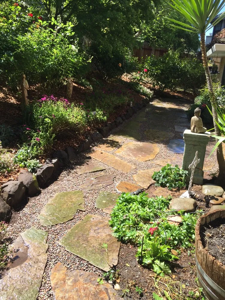 Expert yard cleanup service experts serving Petaluma, CA - Dewdrop Irrigation & Landscape