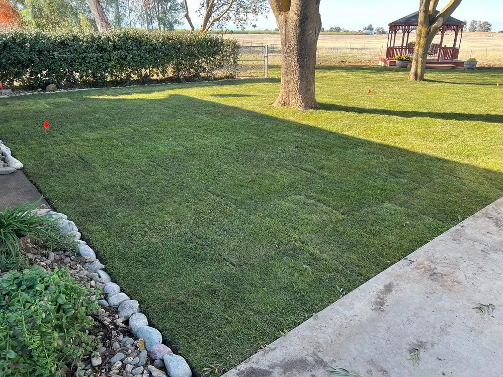 Professional landscape installation for outdoor upgrades in Red Bluff, CA by DEWD’s Landscaping