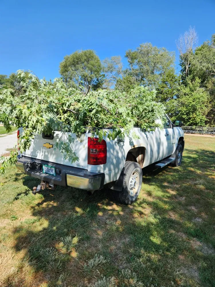 Expert landscaping services in Edgar, NE - Dewees Pro Services