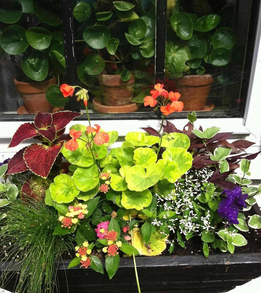 Professional lawn care service in Centerville, MA - Dewey Gardens