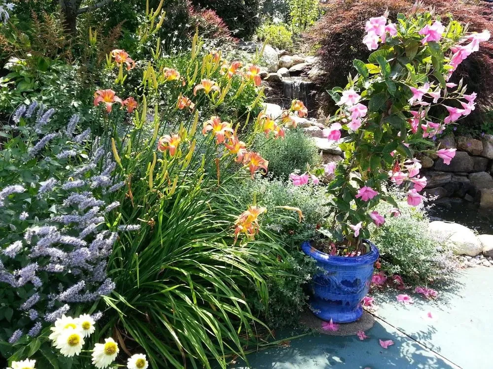 Top-rated landscape design in Centerville, MA by Dewey Gardens