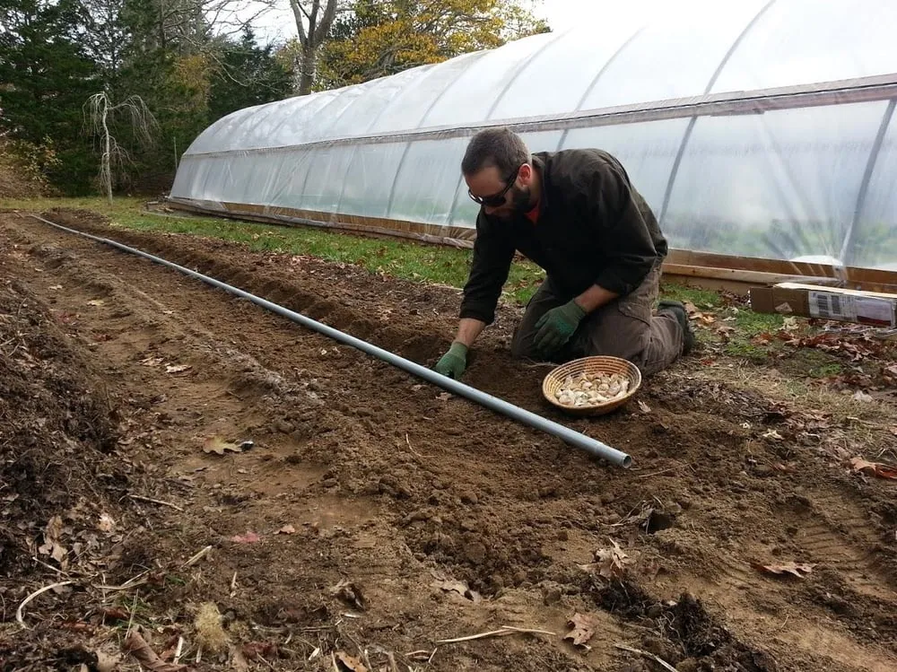 Custom outdoor landscaping with custom design across Centerville, MA - Dewey Gardens