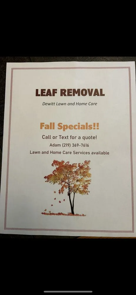 Custom yard cleanup service experts serving Trail Creek, IN - DeWitt Lawn & Home Care