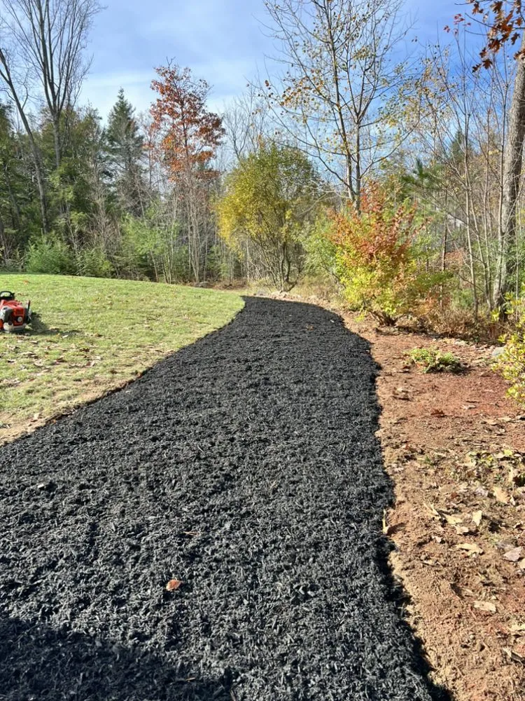 Expert yard cleanup service in Kittery, ME - DeWitt Outdoor Services